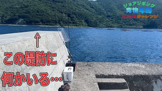 この堤防の上で釣りをしたら何か回遊していました。【ショアジギング青物年間100本チャレンジ#122】