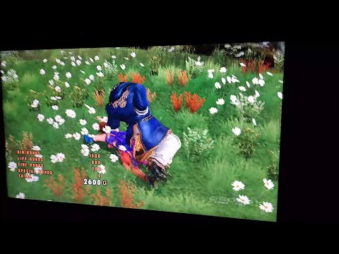 Tekken 5 Dark Ressurection  King Stf on Anna Ko Ryona