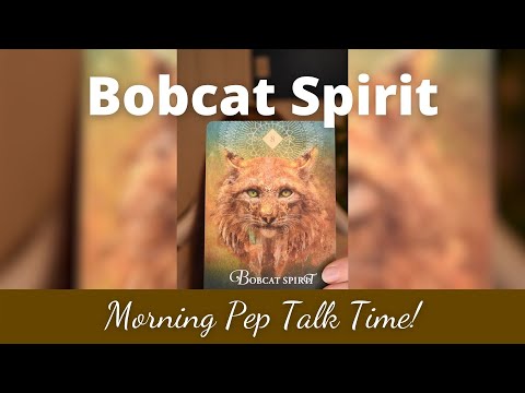 Bobcat Spirit Animal
