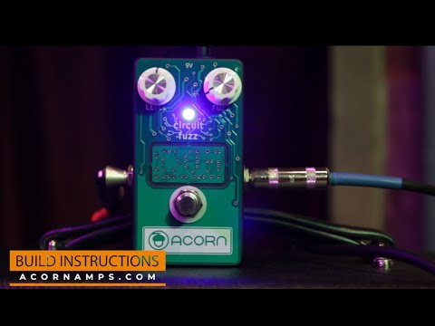 Acorn Amplifiers Circuit Fuzz *Video* image 5