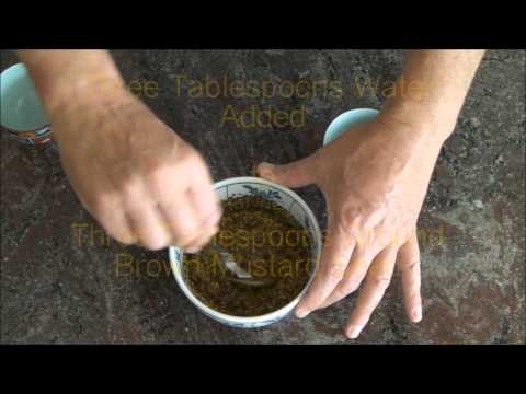 How To Make Spicy Brown Mustard At Home - Recipe