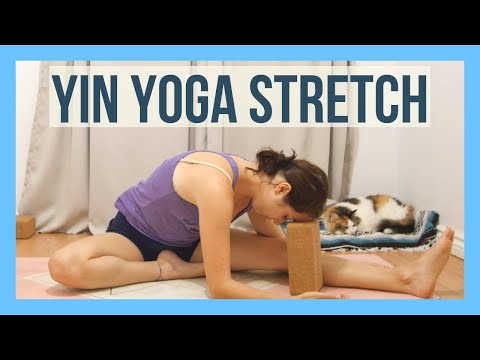 1 Hour Yin Yoga for Flexibility - Hips & Spine Yoga Deep Stretch