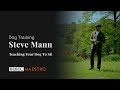 Steve Mann -Teaching Your Dog To Sit  - Dog Training - BBC Maestro