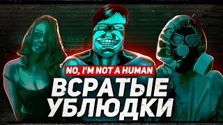 Хорошие мемы, но плохая игра | No, I’m not a Human