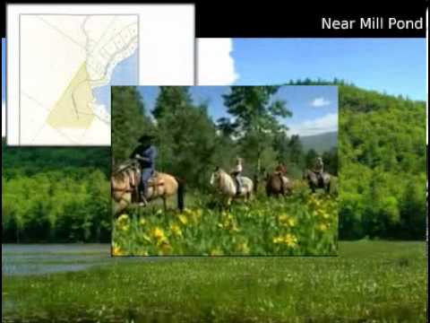 $299,000 Single Family Home, Ossipee, NH