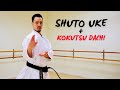 SHUTO UKE + KOKUTSU DACHI 🥋⛩ (KARATE TECHNIQUES)
