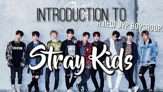 A HELPFUL Guide To Stray Kids