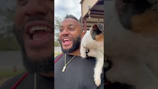 Download lagu Jack russell event mp3