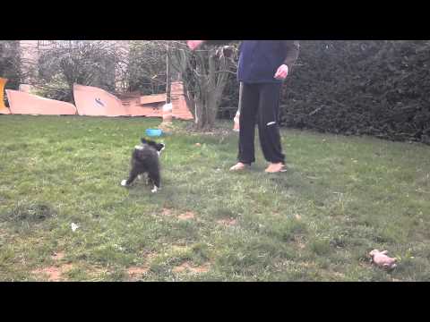 2013-04-07_16-59-26_180