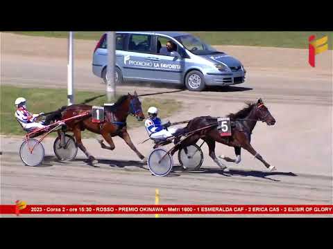 II Corsa del 26 aprile 2023 - 3 Anni - Metri 1600