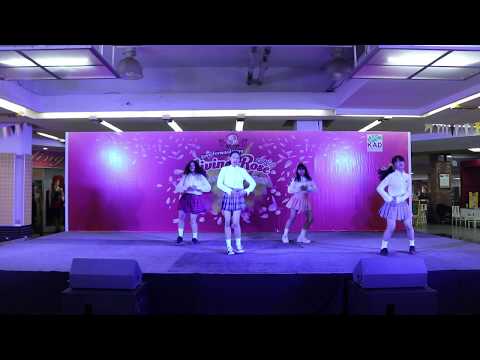 190323 5Rings cover LOONA/yyxy - YokoAn's Love Forward 'Living Rose' 2019