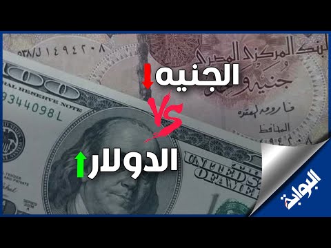 اسعار الدولار فى مصر