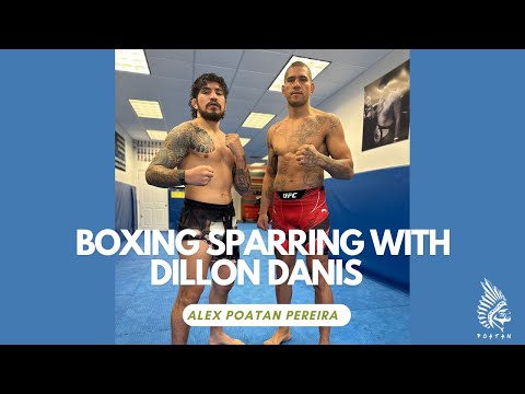 Dillon Danis Gears Up for a Crucial Boxing Match Against KSI