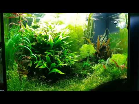 Watch Video on YouTube