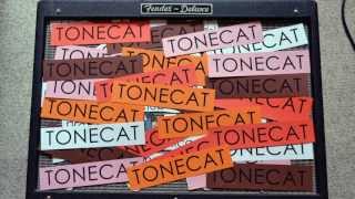 Video Tonecat zve na koncerty