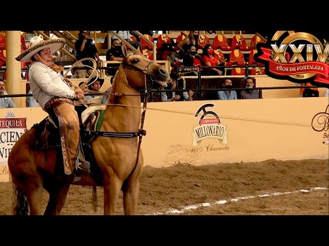 MANGANAS ON HORSEBACK day 26 - Millionaire Championship 2021 THV