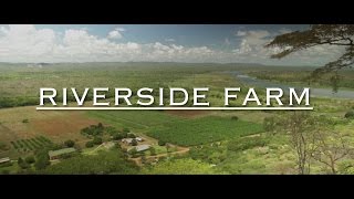 RIVERSIDE FARM & ONE DAY CHURCH