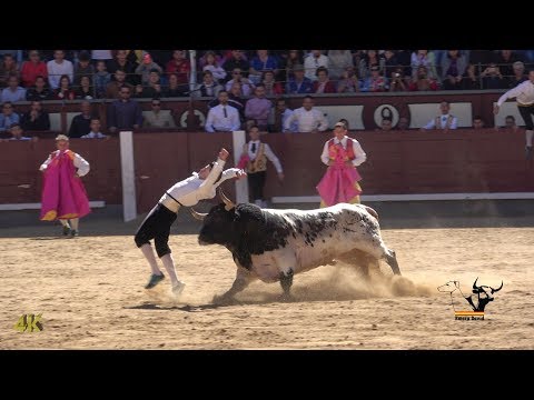 🕺🏽🐂 Final del campeonato de España de recortes 2018, 4K