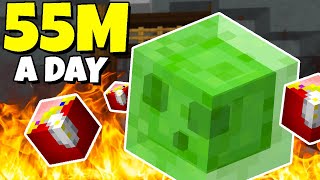 How to AFK 55M Coins PER DAY (Hypixel Skyblock)