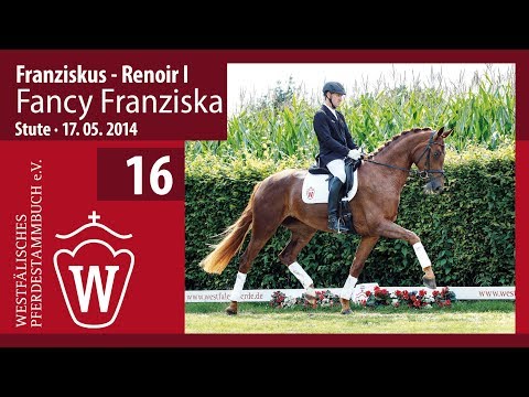 16 Fancy Franziska Stute v. Franziskus - Renoir I