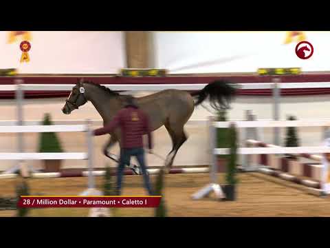 KN 28 von Million Dollar / Paramount