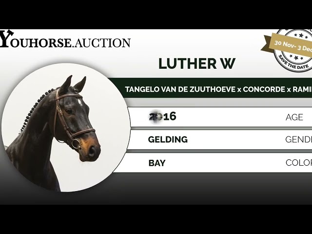 Luther showvideo outdoor