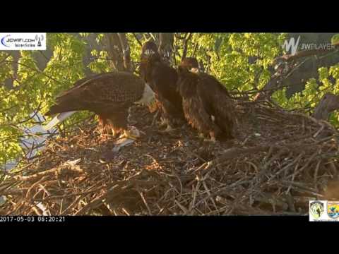Trio Nest © 2017 StewardsUMRR, JCWiFi 5-3-17 Both Valor 1 & 2 with the kids!
