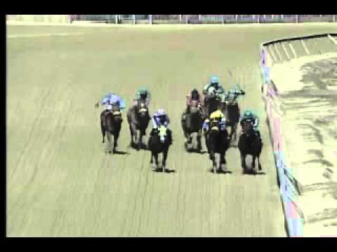 Pimlico 04/05/14 race 3