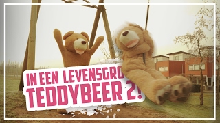 In een LEVENSGROTE TEDDYBEER #2