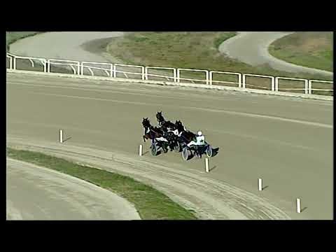 Napoli Trotto 25/01/2022 - 4ª corsa