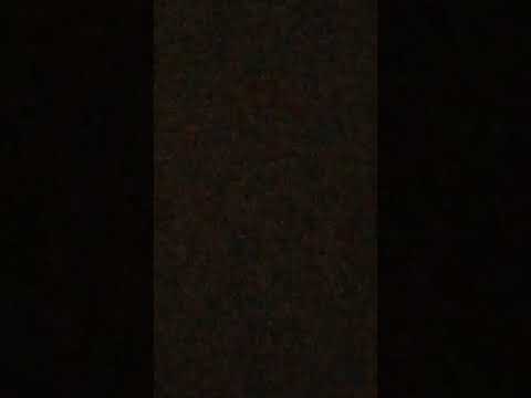 14 de novembro de 2021