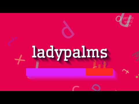 HOW TO PRONOUNCE LADYPALMS? #ladypalms