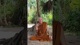 COCKROACHES &amp; METTĀ see FULL VIDEO &amp; SUBSCRIBE HERE