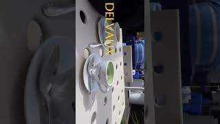 Daily life in Brussels Belgium | Shopping | Take a walk | Coffee | Dinner | ブリュッセルでの日常生活