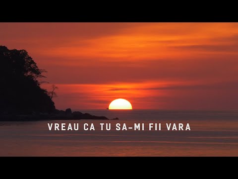 Codruta - Sa-mi fii vara (Versuri)
