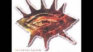 Drifting - Salmonella Dub