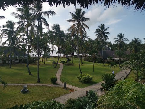 Best Afrohouse Mix February 2024 ( Francis Mercier, Hugel, Nitefreak )