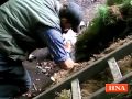 Köhlertag In Delliehausen Der Meiler Brennt