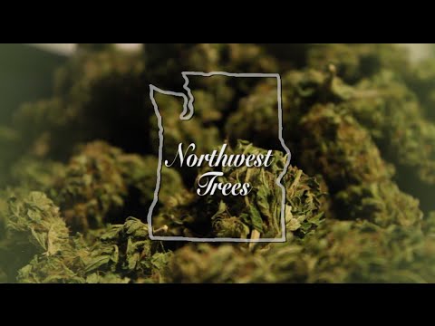 Northwest Trees