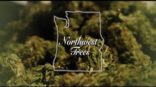 Marijuana Documentary - Northwest Trees (2016)
