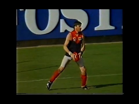 Sean Wight Tribunal News Reports - 1991 - Melbourne Demons - Elimination Final v Essendon - AFL