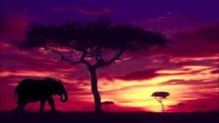 Serengeti-Circle of Life RWC Saturday Night LIVE