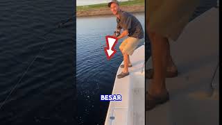 Download lagu Bukan ikan besar ?? namun pemancing ini malah mendapatkan... #youtubeshorts #viralshorts #trending mp3