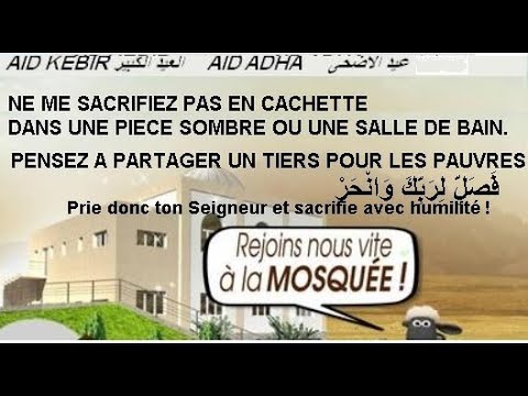 40 moutons de l'‘Aïd dans un logement HLM de10m² à Nice