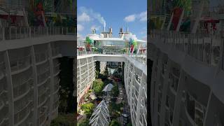 My 15th cruise in 2025 🤣 Oasis of the Seas📍#FortLauderdale #royalcaribbean #oasisoftheseas #cruise