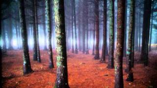 Sopor Aeternus - Ein gutiges Lacheln auf den Gesichtern der Toten