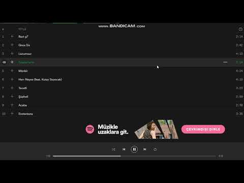 Ağaçkakan - Fatalerrorist (Audio)