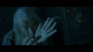 Le Seigneur des anneaux 1 - Gandalf, Saruman, le papillon et l´aigle