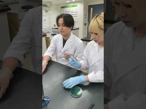 経営学科 微生物検査学　#臨床検査技師　#shorts