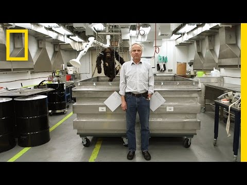 The 3-D Scanning Brilliance of Bruno Frohlich | National Geographic